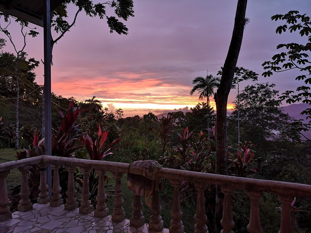 tropical sunset view through trees, from a cement tile patio, colours of orange, yellow, peach, purple and greens and reds in the foliage